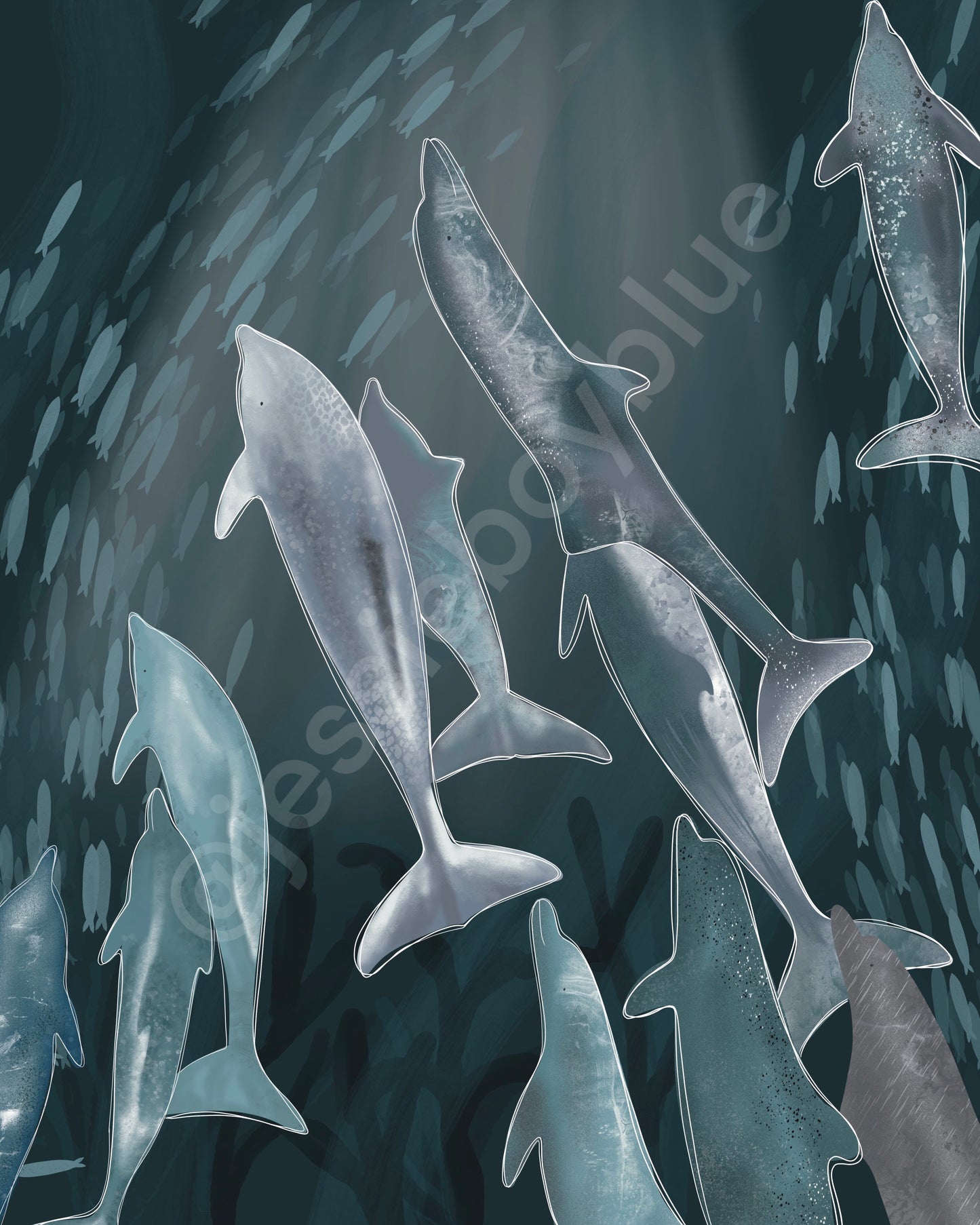 Dolphin Pod Art Print 8x10