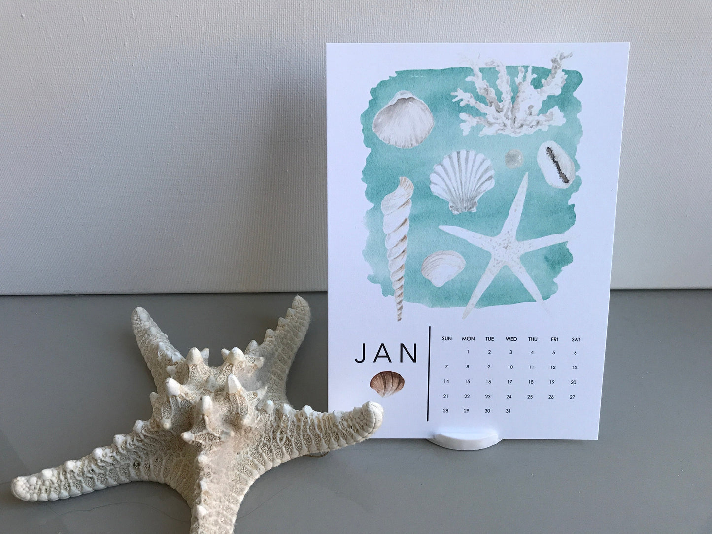 2024 Starfish and Coral Calendar